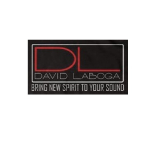 David Laboga Custom Audio